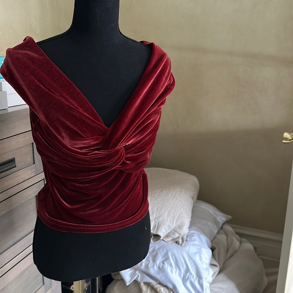 Reformation Tops - Reformation Crushed Red Velvet top